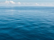 Đại dương hấp thụ nhiều CO2 hơn chúng ta nghĩ 