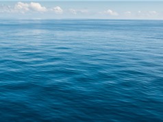 Đại dương hấp thụ nhiều CO2 hơn chúng ta nghĩ 