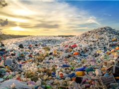 WWF phát động thi sáng kiến giảm rác thải nhựa tại Việt Nam