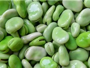 Đậu tằm: thực phẩm xanh thay thế đậu nành 