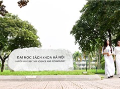 Hai trường đại học Việt Nam có tên trong bảng xếp hạng các trường có tầm ảnh hưởng của THE