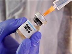 70 vaccine đang được phát triển để chống Covid-19