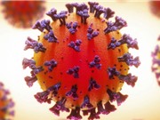 Biến thể virus SARS-CoV2 lây lan mạnh nhất