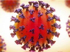 Biến thể virus SARS-CoV2 lây lan mạnh nhất