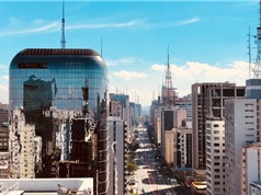 Siêu đô thị São Paulo: Ủ phân thực phẩm thừa để giảm phát thải khí nhà kính