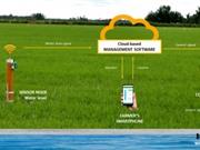Thí điểm hệ thống IoT giúp nông dân tiết kiệm nước tưới lên tới 20%