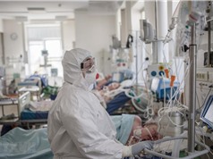 Nga: Bệnh nhân COVID-19 khỏi bệnh nhờ điều trị bằng huyết tương
