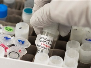 Các hãng dược phẩm chạy đua tìm kiếm vắcxin phòng ngừa COVID-19
