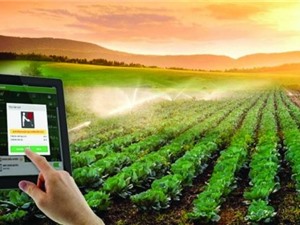 Nông nghiệp công nghệ cao hay nông nghiệp sinh thái?