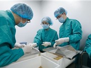 Vắcxin COVID-19 do Việt Nam sản xuất vượt tiến độ dự kiến
