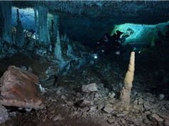Phát hiện mỏ thổ hoàng dưới đáy biển Mexico