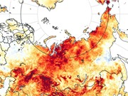 Siberia: Nắng nóng kéo dài 6 tháng do biến đổi khí hậu