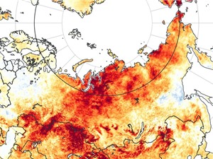 Siberia: Nắng nóng kéo dài 6 tháng do biến đổi khí hậu