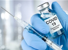 Vaccine Covid-19: Kết quả khả quan được công bố chính thức