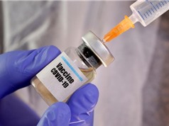 Mỹ thử nghiệm vaccine Covid-19 giai đoạn 3