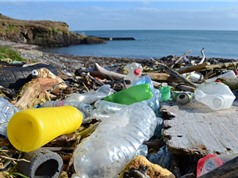 Rác thải nhựa đổ vào đại dương có thể tăng gấp ba lần trong 20 năm tới