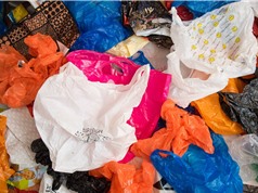 Bị tính phí, lượng túi nhựa dùng một lần ở Anh giảm 95% 