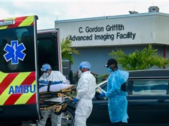 Mỹ: Dự báo gần 300.000 ca tử vong do Covid-19 vào tháng 12