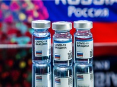 Vaccine COVID-19 của Nga đã được thử nghiệm như thế nào? 