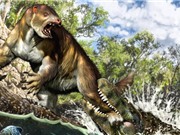 Vết cắn 13 triệu năm của cá sấu cổ đại