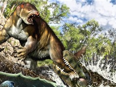 Vết cắn 13 triệu năm của cá sấu cổ đại