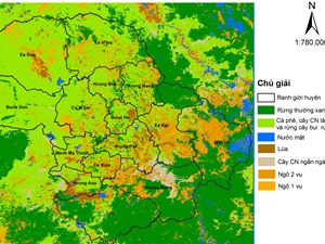 Công nghệ khai thác ảnh vệ tinh: Mô hình dự báo năng suất cây ngô