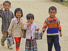 Chỉ số Vốn Con người của Việt Nam tiếp tục tăng