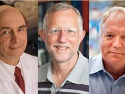 Nobel Y học cho ba nhà virus học phát hiện ra bệnh viêm gan C 