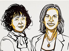 Nobel Hóa học cho 2 nhà nữ khoa học tìm ra "kéo di truyền" CRISPR/Cas9