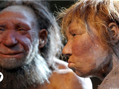 [Video] Mối liên hệ giữa Covid-19 và DNA của người Neanderthal