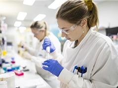 Úc hỗ trợ ngân sách đầu tư cho khoa học và giáo dục