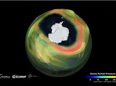 Lỗ thủng tầng ozone ở Nam Cực lớn nhất trong thập kỷ qua