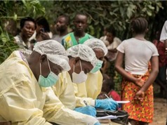Mỹ chấp thuận thuốc điều trị Ebola đầu tiên