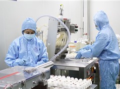 Sản xuất vaccine vô hoạt nhũ dầu phòng cúm chủng mới A/H5N1