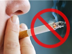Bỏ thuốc lá đột ngột hay giảm từ từ?