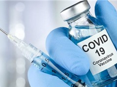 Năm 2021: dự kiến sẽ thử nghiệm lâm sàng giai đoạn 3 vaccine Covid-19