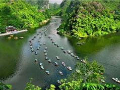 Google: Xu hướng tìm kiếm địa điểm du lịch biển của người Việt tăng mạnh