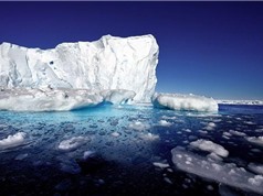 Băng biển Bắc Cực ở mức thấp kỷ lục trong tháng 10