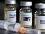 Việt Nam thử nghiệm vaccine Covid-19 trên khỉ 