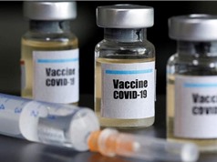 Việt Nam thử nghiệm vaccine Covid-19 trên khỉ 