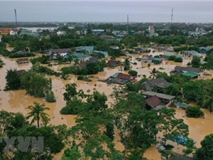 Các nhà khí hậu học thế giới nghiên cứu về bão lũ nghiêm trọng ở VN