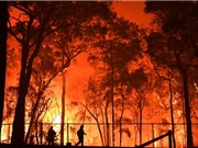 Carbon dioxide làm gia tăng các hiện tượng thời tiết khắc nghiệt ở Úc
