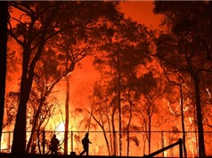 Carbon dioxide làm gia tăng các hiện tượng thời tiết khắc nghiệt ở Úc