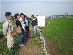 Công nghệ thủy lợi nội đồng: Góp phần giải quyết việc tưới tiêu trong nông nghiệp ‘xanh’