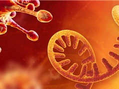 Phát hiện gene mới trong mã di truyền của virus SARS-CoV-2