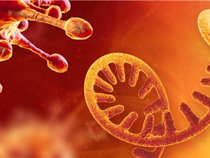 Phát hiện gene mới trong mã di truyền của virus SARS-CoV-2