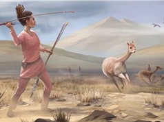 Nữ thợ săn thời tiền sử
