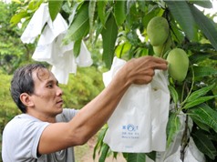Phát triển nông nghiệp Việt Nam: Kiến nghị một số giải pháp
