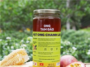 HONECO: Đưa mật ong hoa quả đi xuất khẩu