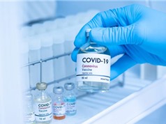 Bắt đầu thử nghiệm vaccine COVID-19 của NANOGEN trên người 